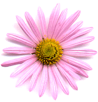 A Flower for the Sea Princess
